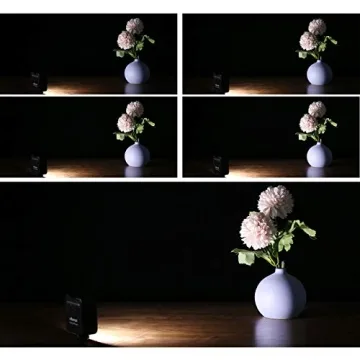 ULANZI VL49 LED Video Light for Vloggers and Creators