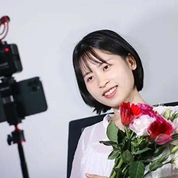 ULANZI VL49 LED Video Light for Vloggers and Creators