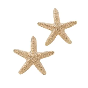 Doubnine Boho Starfish Necklace Earrings Set for Women