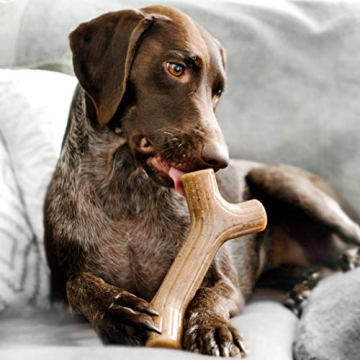 Benebone Maplestick Durable Dog Chew Toy for Aggressive Chewers