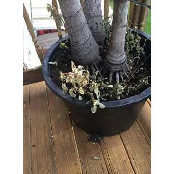 Eco-Friendly Doctor Kirchner Weed Killer without Glyphosate