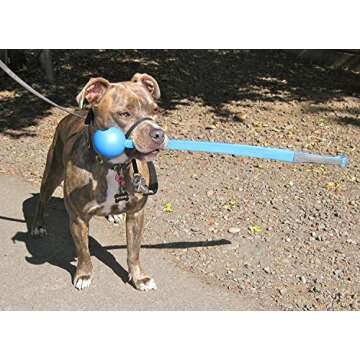 Chuckit! Sport 26 Ball Launcher for Dogs - 66cm Fun