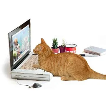 Suck UK | Cat Laptop | Cat Scratching Board | Cardboard Scratchers | Scratch Pad & Kitten Scratching Mat | Funny Furniture | Interactive Toy & Kitten Toys Gifts Cats