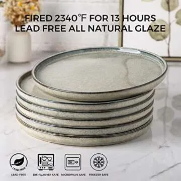 AmorArc Dinner Plates Set of 6, 10.5 Inch Reactive Glaze Ceramic Plates Set, Microwave, Dishwasher S...
