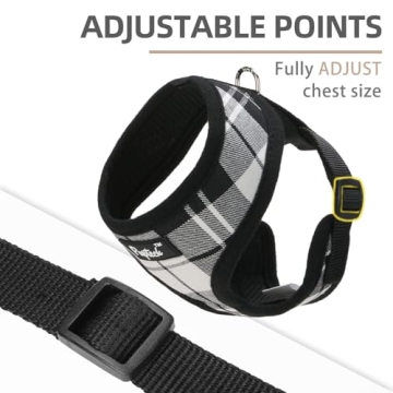 PUPTECK Soft Mesh Dog Harness Leash Set - Stylish Comfort