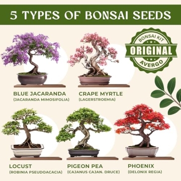 DIY Bonsai Tree Kit for Beginners – 5X Unique Japanese Bonzai Trees | Complete Indoor Bonsai Start...