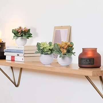 Zuvas Mini Potted Faux Plants Set for Home Decor