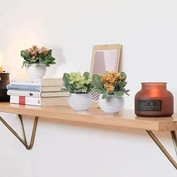 Zuvas Mini Potted Faux Plants Set for Home Decor