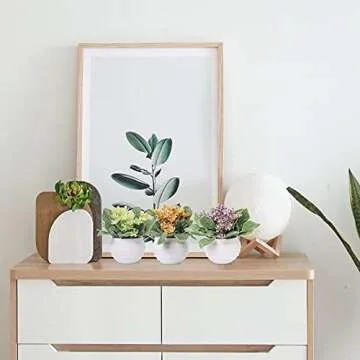 Zuvas Mini Potted Faux Plants Set for Home Decor