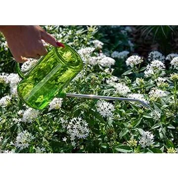 Brilliest Long Spout Plastic Watering Can for Indoor Plants – Clear Measurable Scale – Detachable Spout – Small - Hanging Plants/Houseplants/Succulents/Flowers/Outside Gardening