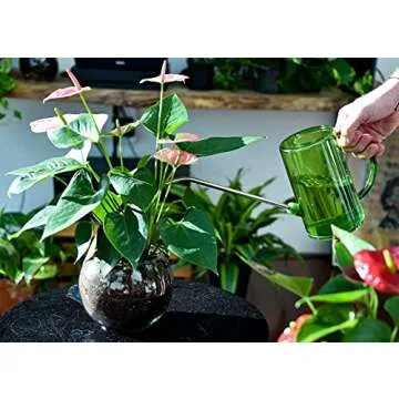 Brilliest Long Spout Plastic Watering Can for Indoor Plants – Clear Measurable Scale – Detachable Spout – Small - Hanging Plants/Houseplants/Succulents/Flowers/Outside Gardening