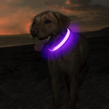 MASBRILL LED Rechargeable Light Up Dog Collar - Waterproof