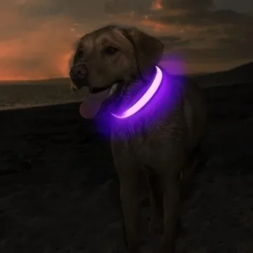 MASBRILL LED Rechargeable Light Up Dog Collar - Waterproof
