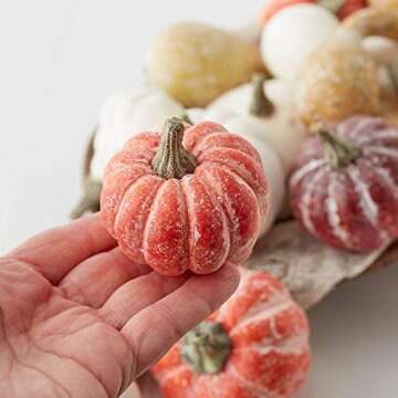 Factory Direct Craft Package of 24 Assorted Harvest White and Frosted Faux Pumpkins and Gourds for Fall, Halloween and Thanksgiving Decorating & Displaying