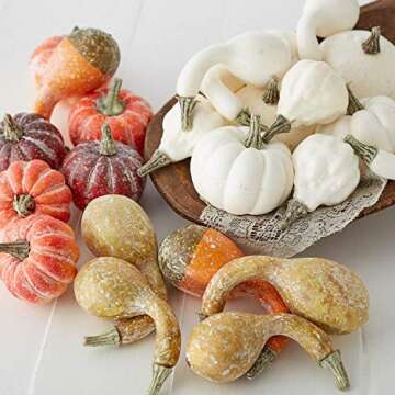 Factory Direct Craft Package of 24 Assorted Harvest White and Frosted Faux Pumpkins and Gourds for Fall, Halloween and Thanksgiving Decorating & Displaying