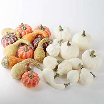 Factory Direct Craft Package of 24 Assorted Harvest White and Frosted Faux Pumpkins and Gourds for Fall, Halloween and Thanksgiving Decorating & Displaying