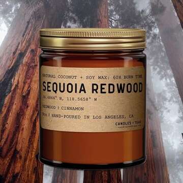 GracyElla Soy Candles: Eco-Friendly Sequoia Redwood Aroma