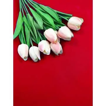 LYLYCTY 5x7ft Photography Studio Non-Woven Backdrop Bright Red Backdrop Solid Color Backdrop Simple Background