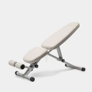 WeGym Fitness Bench - Adjustable & Comfortable Home Gym Bench