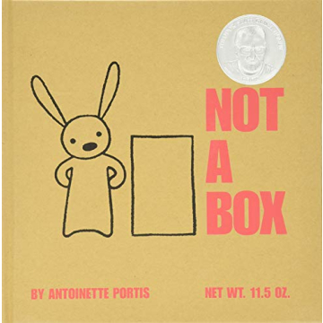 Not a Box Unique Creative Play Gift for All Ages