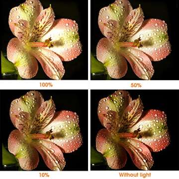 Top SAMTIAN LED Video Light for Professional Photography