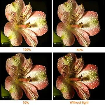 Top SAMTIAN LED Video Light for Professional Photography