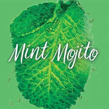 Garnier Invisible Dry Shampoo Mint Mojito for Instant Refresh