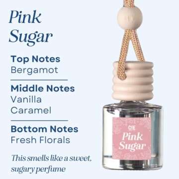 CE Craft Car Air Hanging Fragrance Oil Diffuser – Car Air Freshener Diffuser for Essential Oils - ...