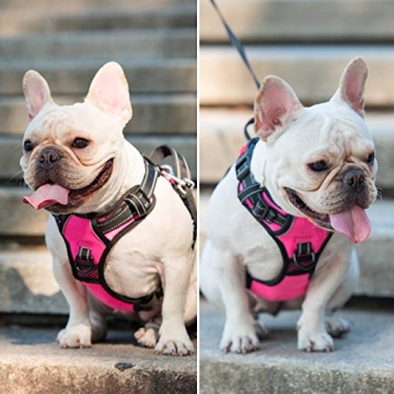 Comfortable Reflective No Pull Dog Harness for Pets