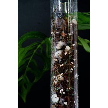 THICCLY GrowPole – D Shape Plastic Moss Pole for Indoor Plants