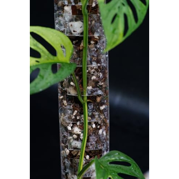 THICCLY GrowPole – D Shape Plastic Moss Pole for Indoor Plants