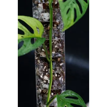 THICCLY GrowPole – D Shape Plastic Moss Pole for Indoor Plants