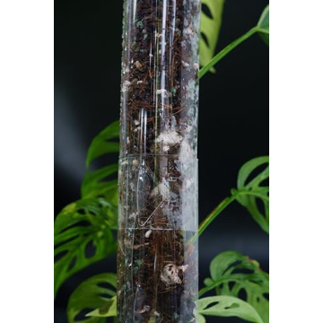 THICCLY GrowPole – D Shape Plastic Moss Pole for Indoor Plants