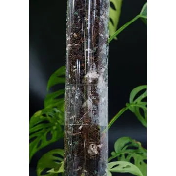 THICCLY GrowPole – D Shape Plastic Moss Pole for Indoor Plants