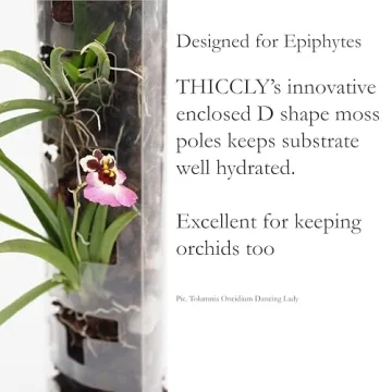 THICCLY GrowPole – D Shape Plastic Moss Pole for Indoor Plants