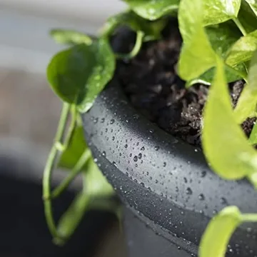 Step2 Claremont Tall Round Planters for Outdoor Use