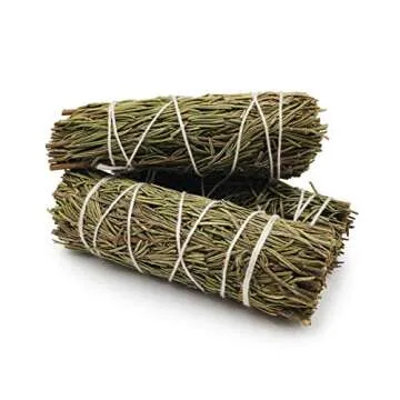 Dried Rosemary Incense Sticks for Spiritual Cleansing, Home Fragrance, Witchcraft Supplies, Meditation Accessories - 4" Long - 3 Pack - Alternative Imagination