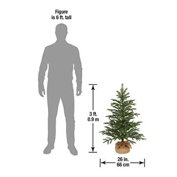 Feel Real 3ft Mini Christmas Tree by National Tree