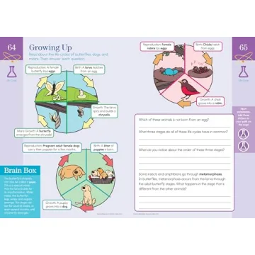 Summer Brain Quest for Grades 2 to 3 Fun Learning Workbook