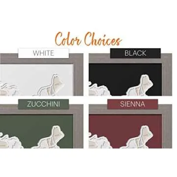 50 States USA Photo Map