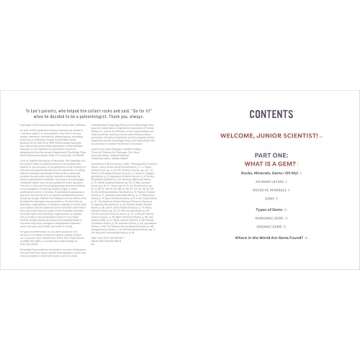 Gems for Kids: A Junior Scientist's Guide to Mineral Crystals and Other Natural Treasures