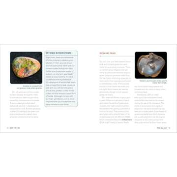 Gems for Kids: A Junior Scientist's Guide to Mineral Crystals and Other Natural Treasures