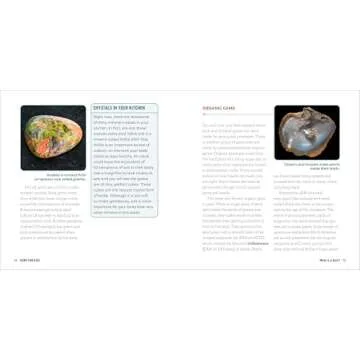 Gems for Kids - Junior Scientist's Guide to Crystals