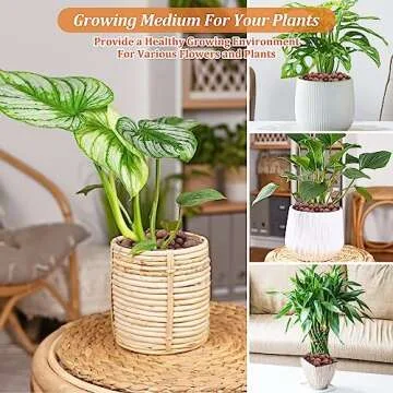 Riare 10 LBS Organic Expanded Clay Pebbles for Plants- 4mm-16mm Natural Leca Balls Lightweight Hydroponic Clay Pebbles Aggregate for Indoor Plants, Hydroponic Growing, Plants Drainage, Aquaponics