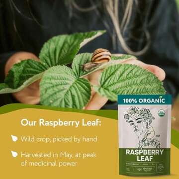 Organic Red Raspberry Leaf Tea – Wild Raspberry Leaves for for Pregnancy, Healthy Cycle, Menstrual Cramps – Medicinal Tea Loose Leaf, Herbs for Tea - Packaging May Vary - 6oz