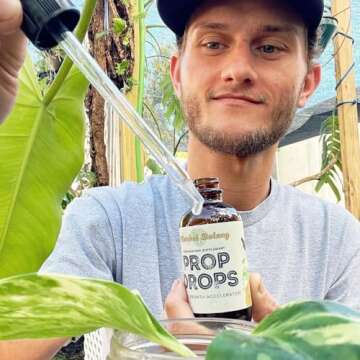 Prop Drops by Market Botany | Propagation Plant Drops to Promote Healthy Root Growth