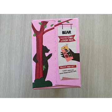 Bear Real Fruit Snack Rolls Strawberry Raspberry Variety Pack