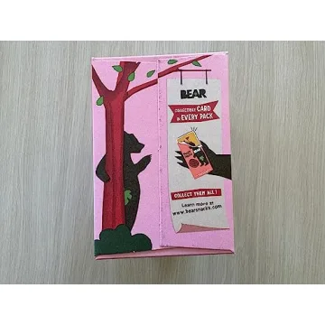 Bear Real Fruit Snack Rolls Strawberry Raspberry Variety Pack