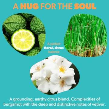 Bergamot & Vetiver Scented Candle - Natural Soy & Coconut Blend with Cotton Wick - Gift Candles for Men and Women with Gift Box - Non Toxic & Made in The USA - 50hr Slow Burn