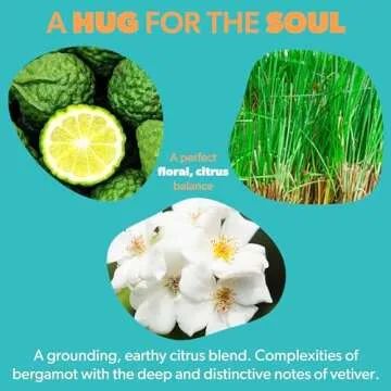 Bergamot & Vetiver Scented Candle - Natural Soy & Coconut Blend with Cotton Wick - Gift Candles for Men and Women with Gift Box - Non Toxic & Made in The USA - 50hr Slow Burn